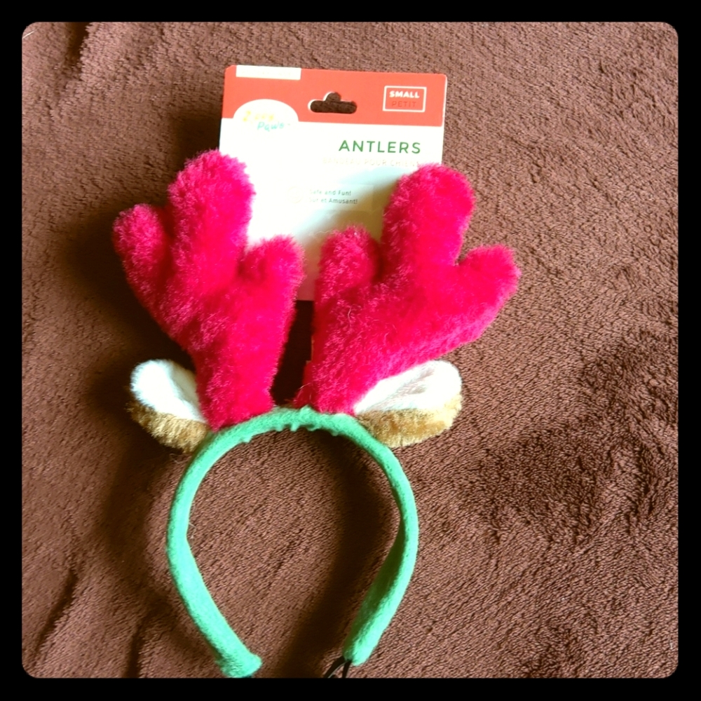 Small pet holiday antlers